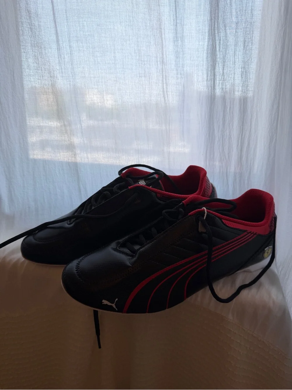 Puma ferrari race